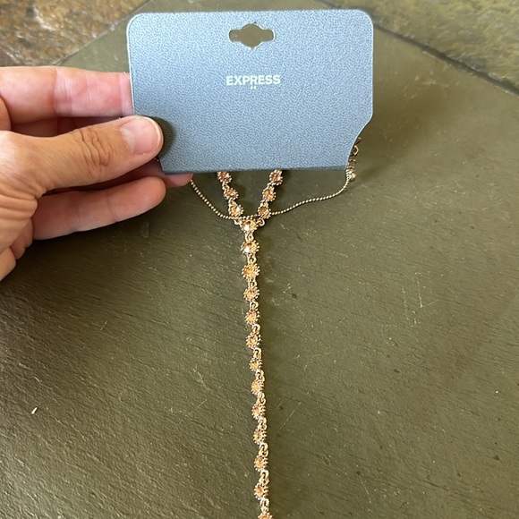 Brand New Express Necklace - Picture 3 of 6